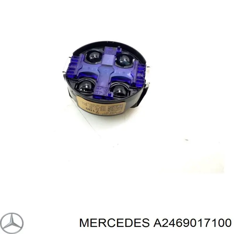 A2469017100 Mercedes