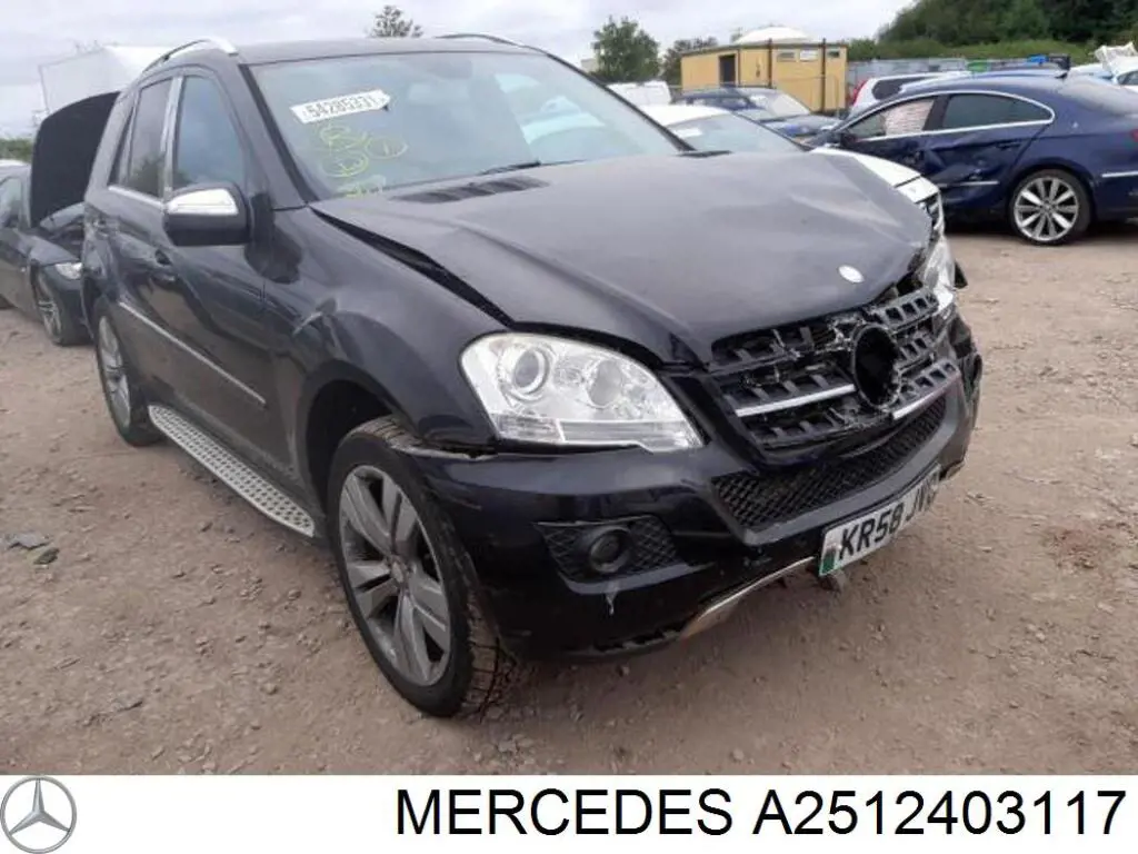 A2512403117 Mercedes Soporte elástico, suspensión del motor, Izquierda / Derecha