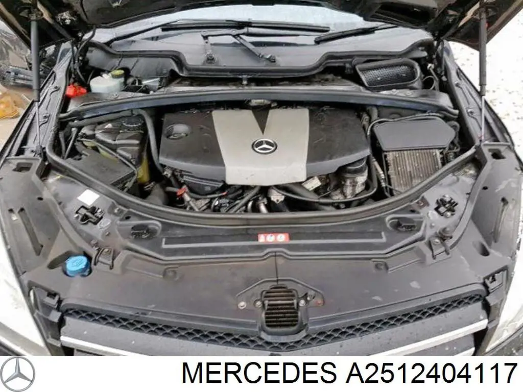 Soporte del motor izquierdo/derecho Mercedes A2512404117 precio, desde 67,99 EUR