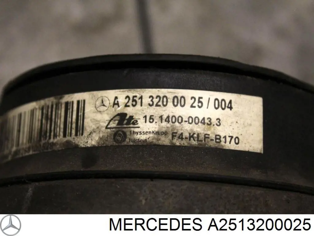 A2513200025 Mercedes muelle neumático, suspensión, eje trasero