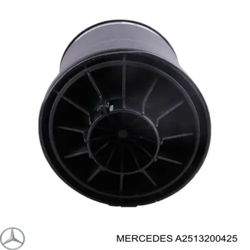 A2513200425 Mercedes muelle neumático, suspensión, eje trasero