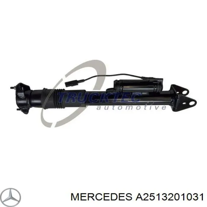 A2513201031 Mercedes amortiguador trasero