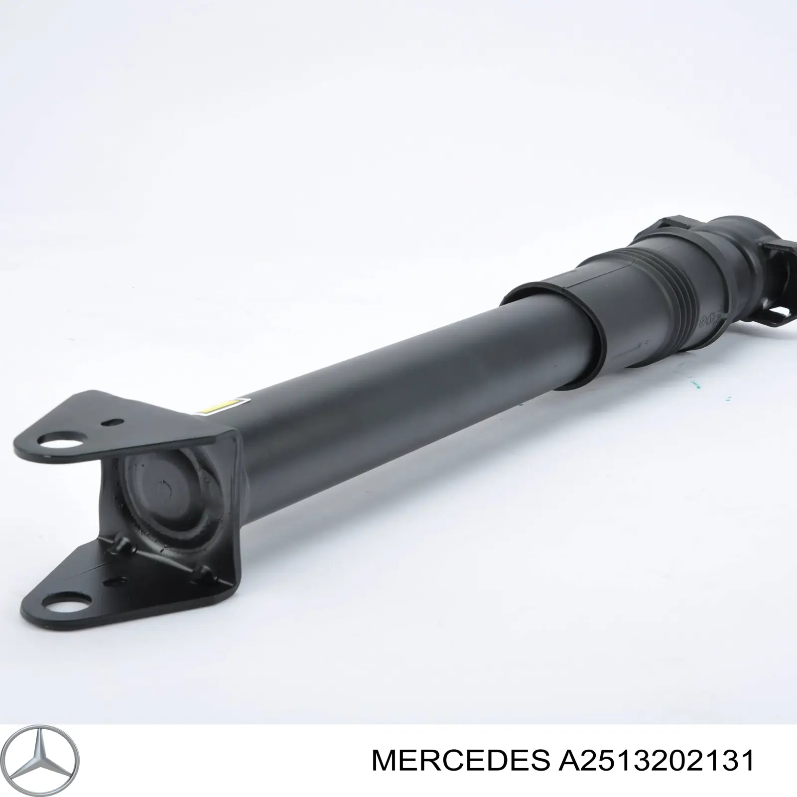 A2513202131 Mercedes