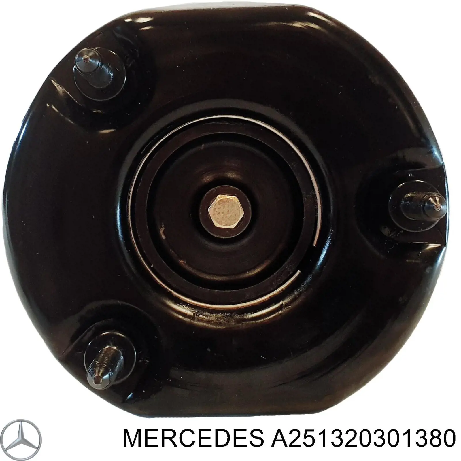 A251320301380 Mercedes amortiguador delantero