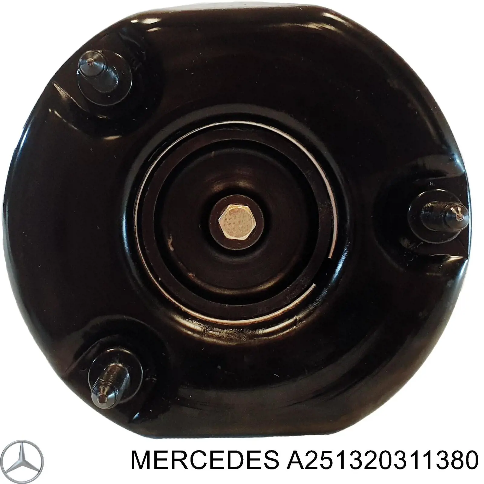 A251320571380 Mercedes amortiguador delantero