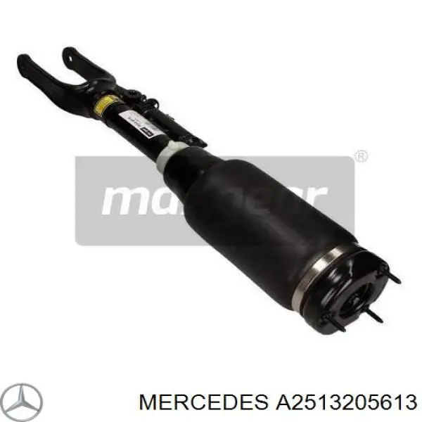 A2513205613 Mercedes amortiguador delantero