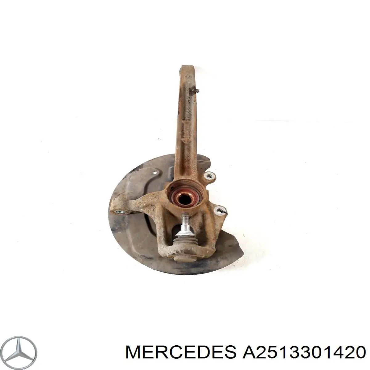 251330142028 Mercedes