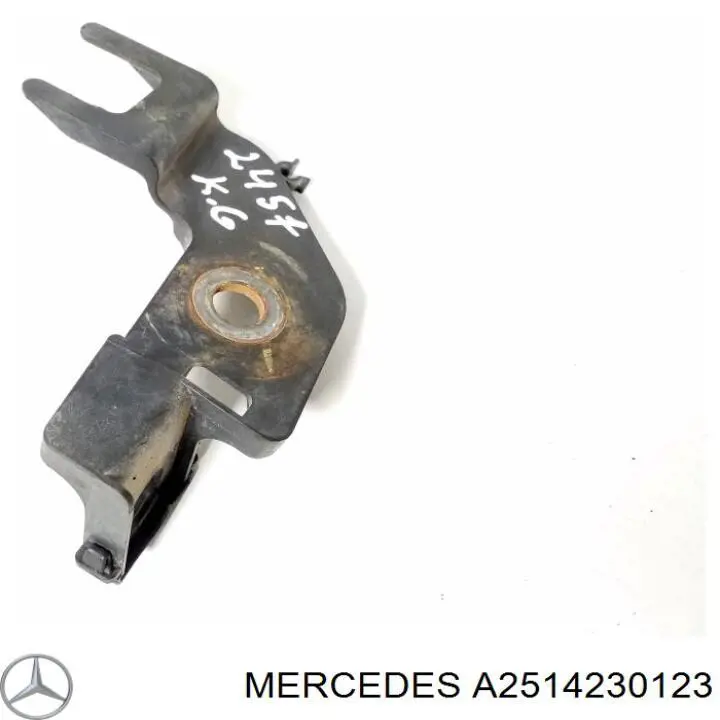 2514230123 Mercedes