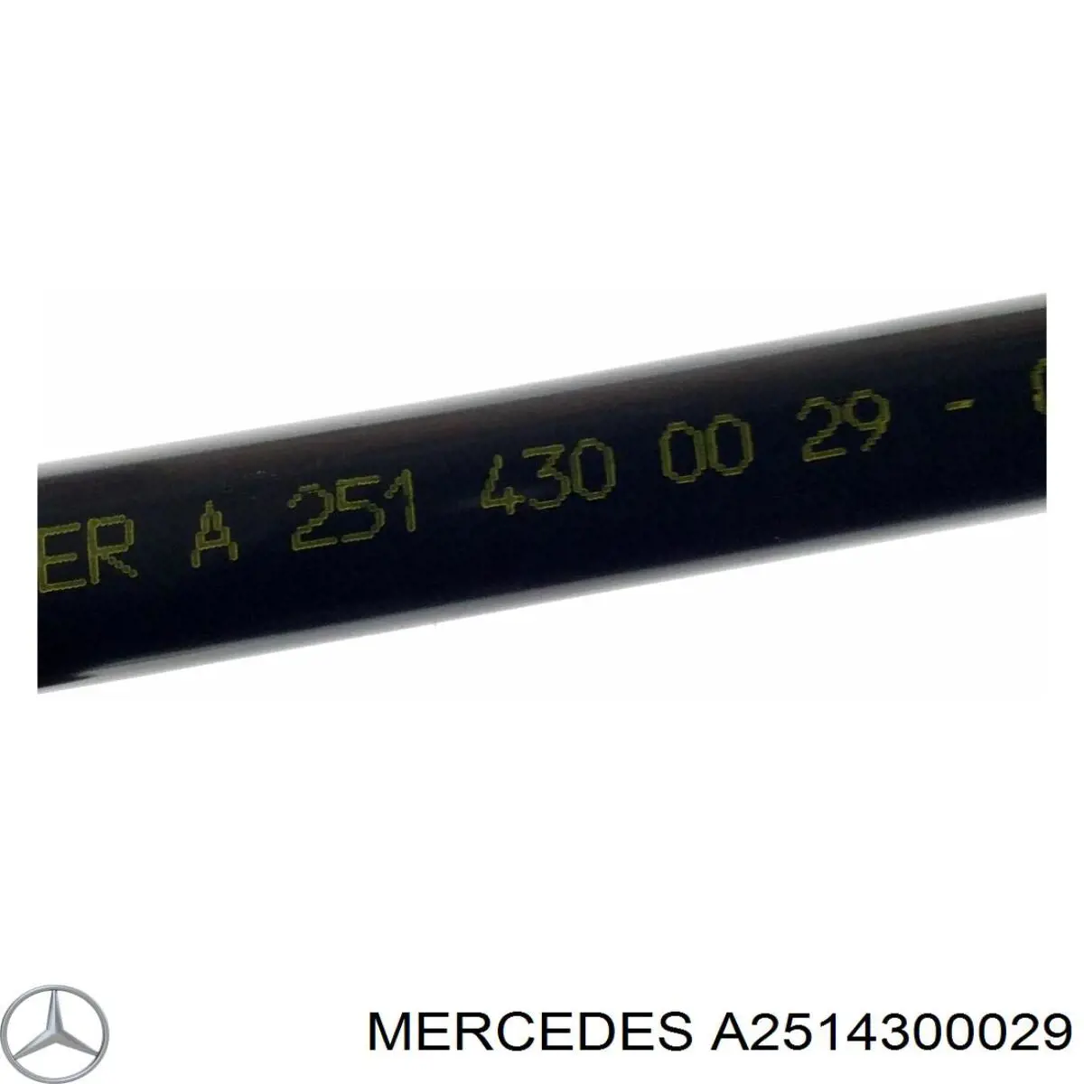 A2514300029 Mercedes