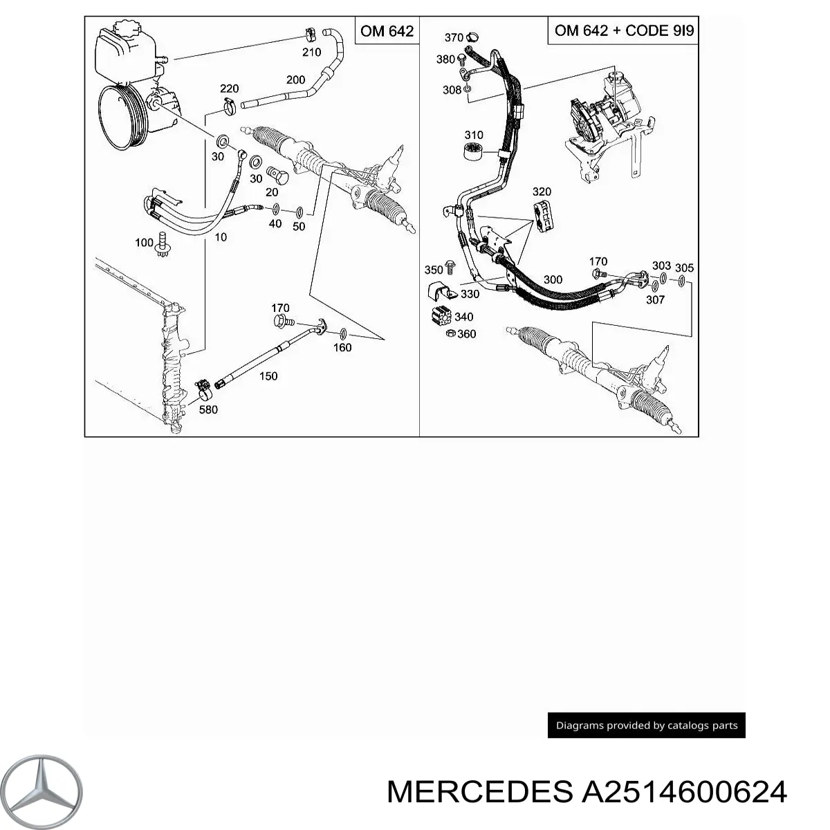 Manguera hidráulica de alta presión, dirección para Mercedes R (W251)