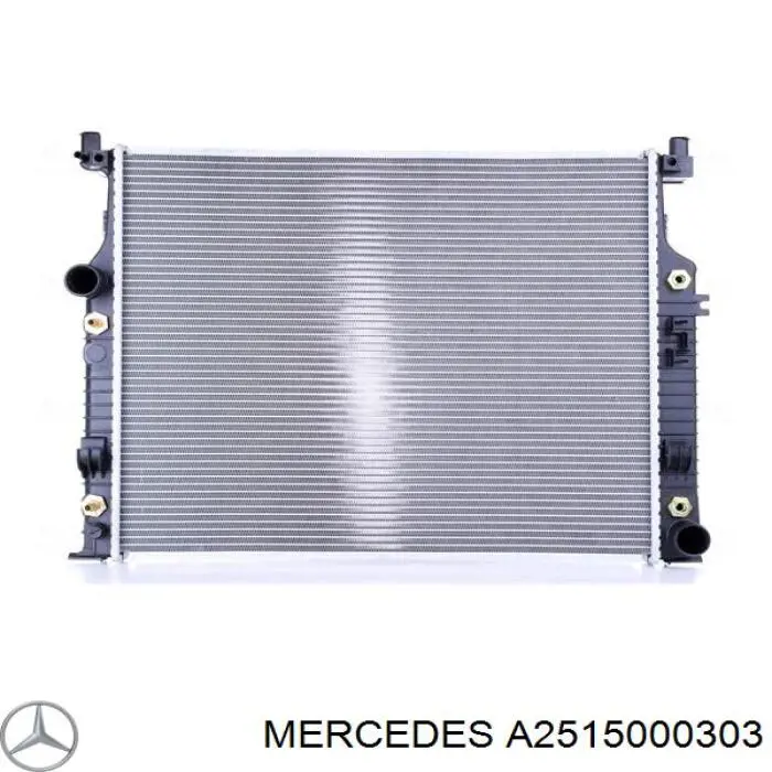 Água radiador Mercedes A2515000303 precio, desde 143,63 EUR
