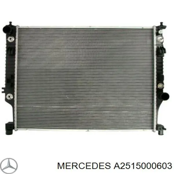 Água radiador Mercedes A2515000603 precio, desde 143,63 EUR