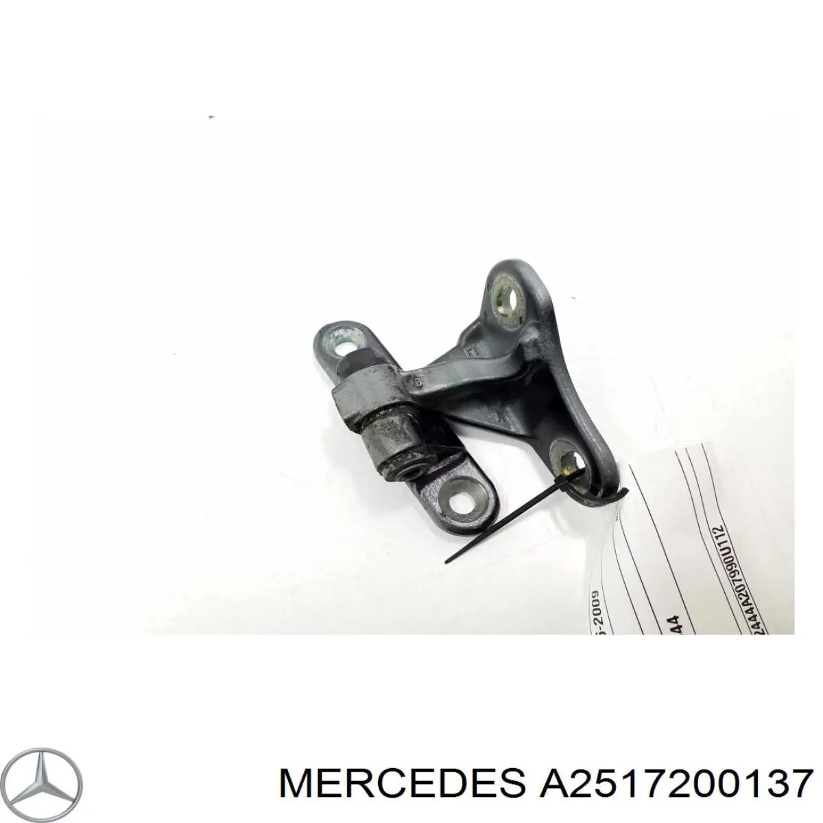 Comprar A2517200137 Mercedes Bisagra de puerta delantera izquierda