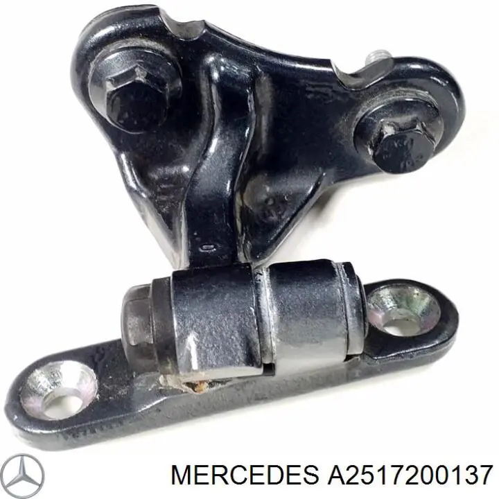 Bisagra de puerta delantera izquierda Mercedes A2517200137 precio, desde 39,20 EUR