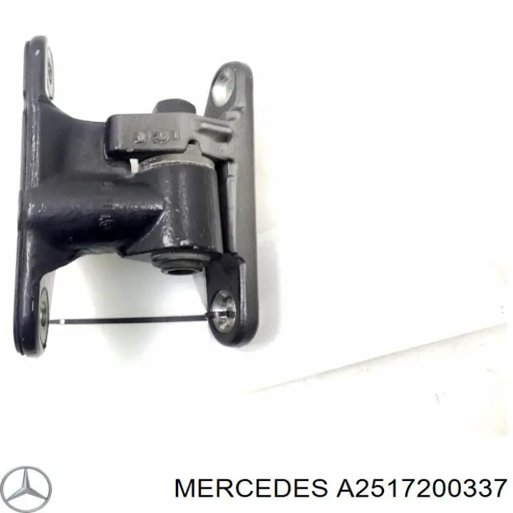 Bisagra de puerta delantera izquierda Mercedes A2517200337 precio, desde 88,57 EUR