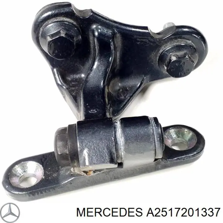 A2517201337 Mercedes Bisagra de puerta delantera izquierda