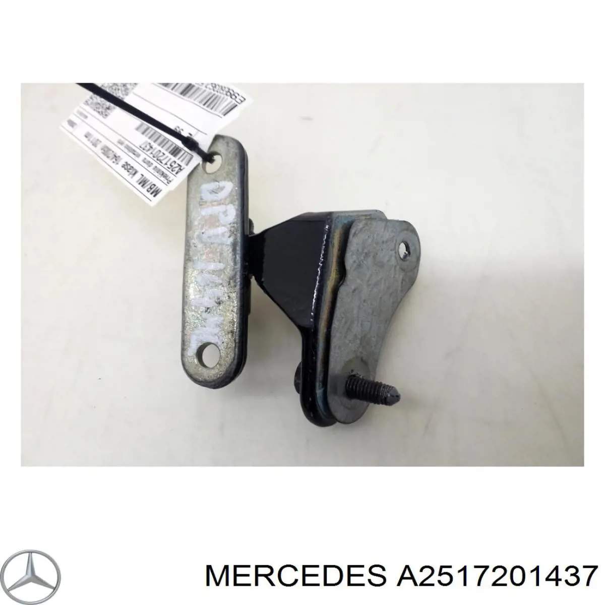2517201437 Mercedes Bisagra de la puerta delantera derecha