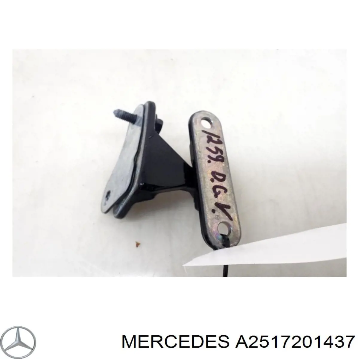 Bisagra de la puerta delantera derecha Mercedes A2517201437 precio, desde 39,20 EUR