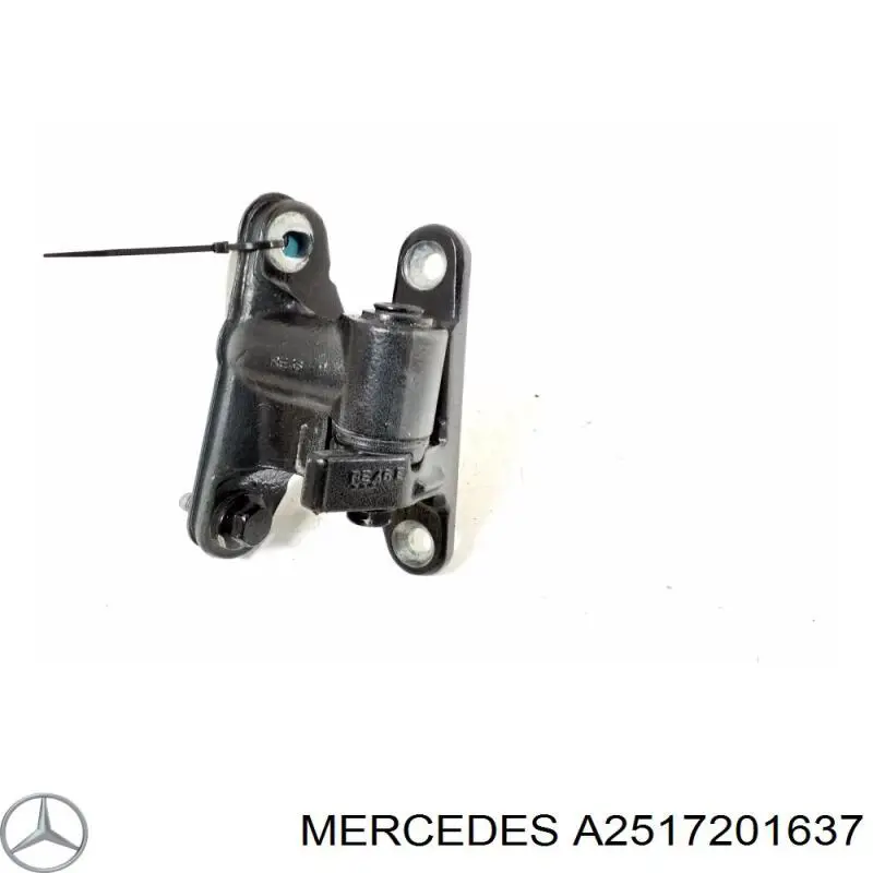 A2517201637 Mercedes bisagra de puerta delantera derecha