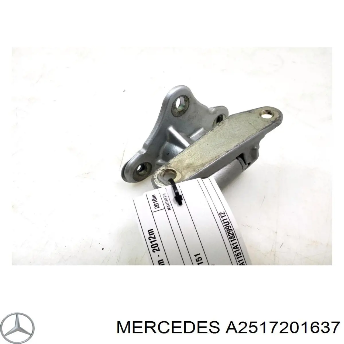 Bisagra de la puerta delantera derecha Mercedes A2517201637 precio, desde 39,20 EUR
