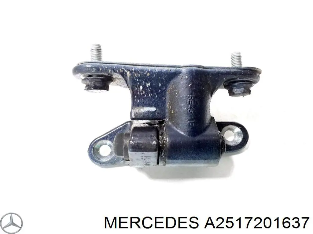 A2517201637 Mercedes Bisagra de la puerta delantera derecha