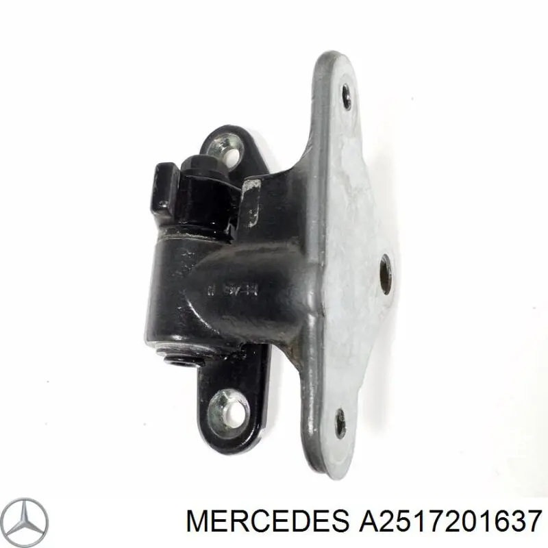 Bisagra delantera derecha Mercedes A2517201637