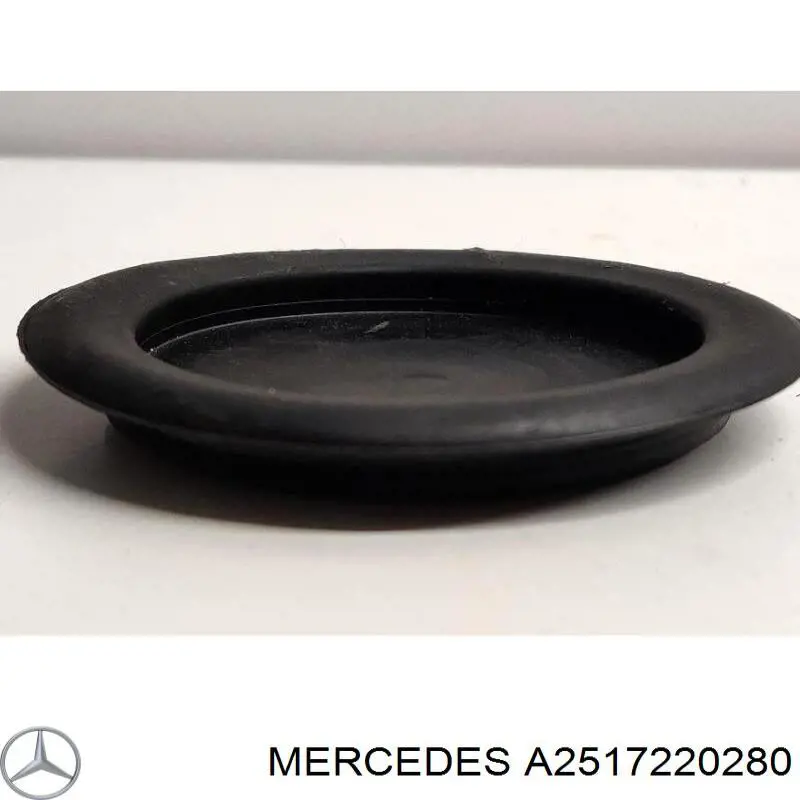  Mercedes A2517220280
