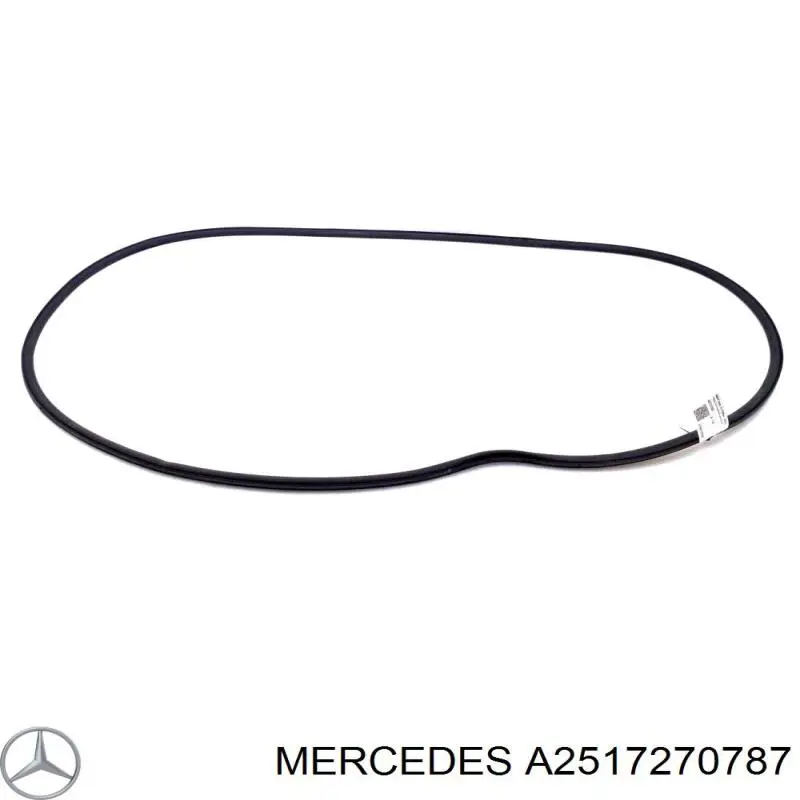 A2517270787 Mercedes