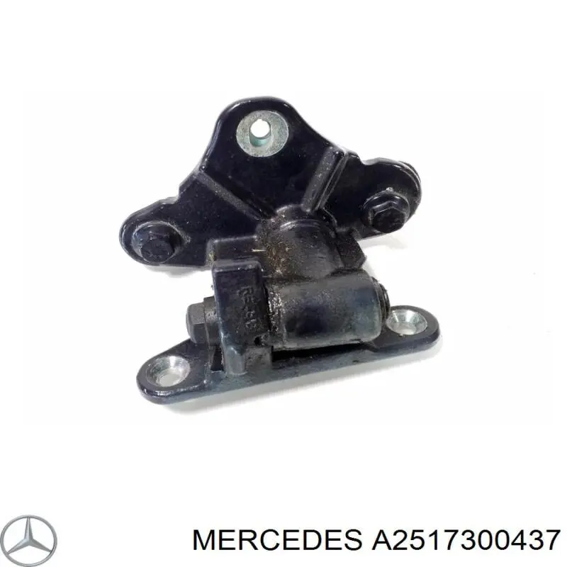 A2517300437 Mercedes