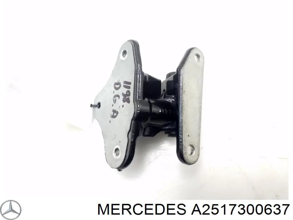 Bisagra de puerta trasera derecha para Mercedes ML/GLE (W164)