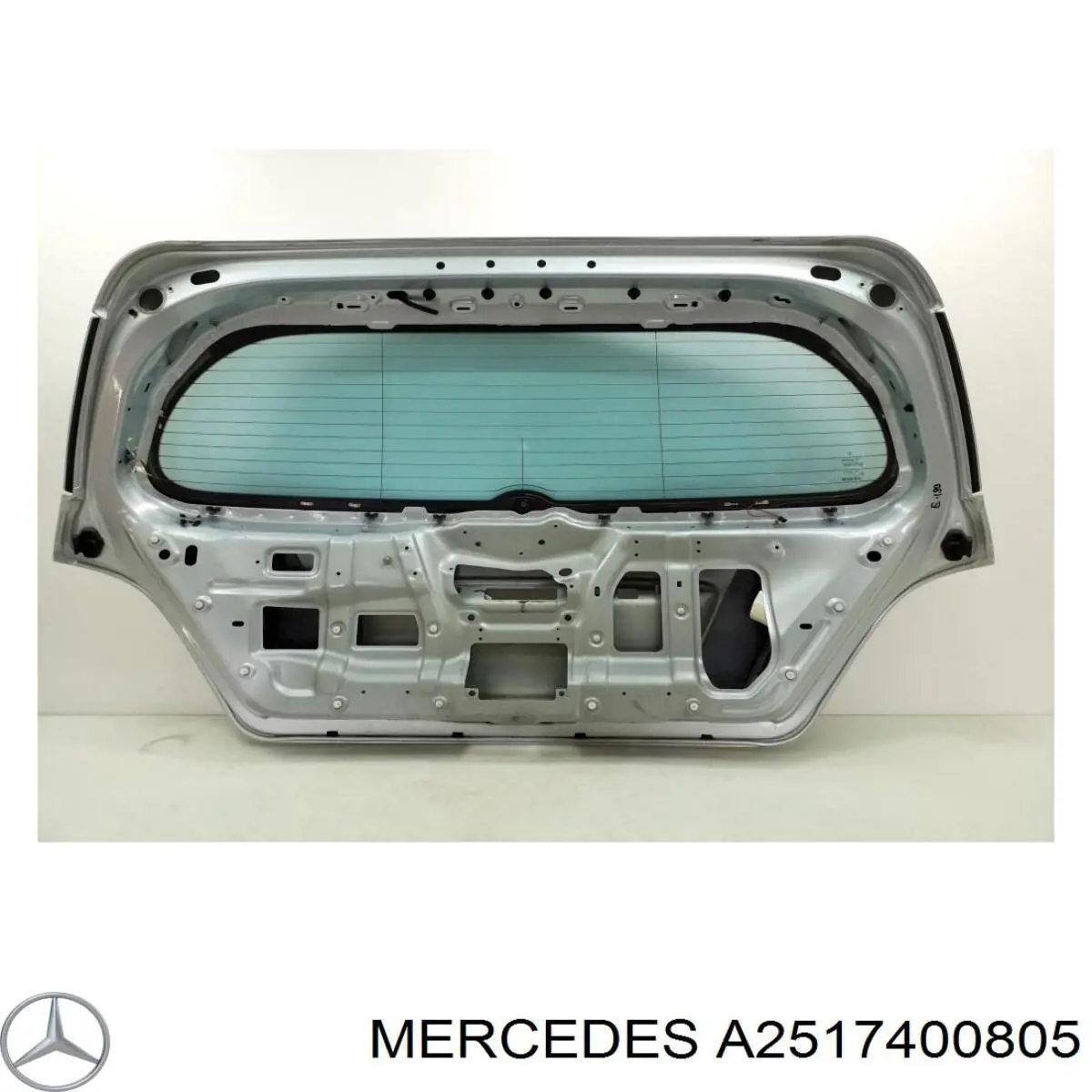 Puerta Trasera de maletero (3/5a Puerta Trasera) para Mercedes R (W251)