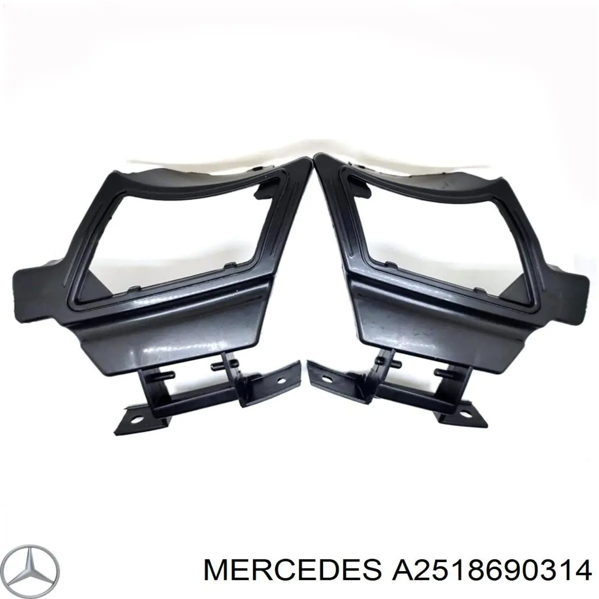 2518690314 Mercedes