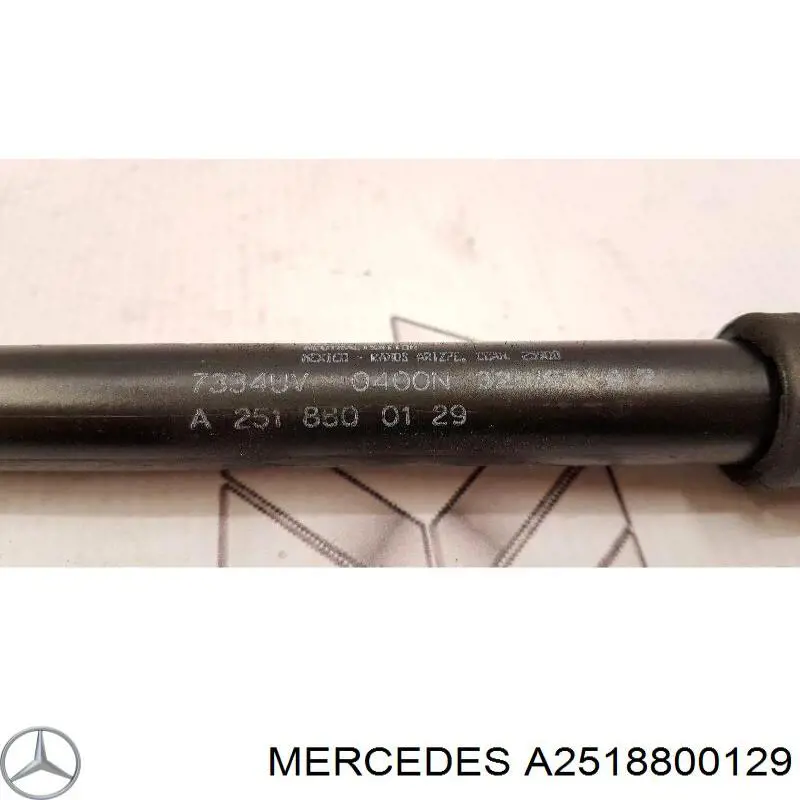 A2518800129 Mercedes muelle neumático, capó de motor izquierdo