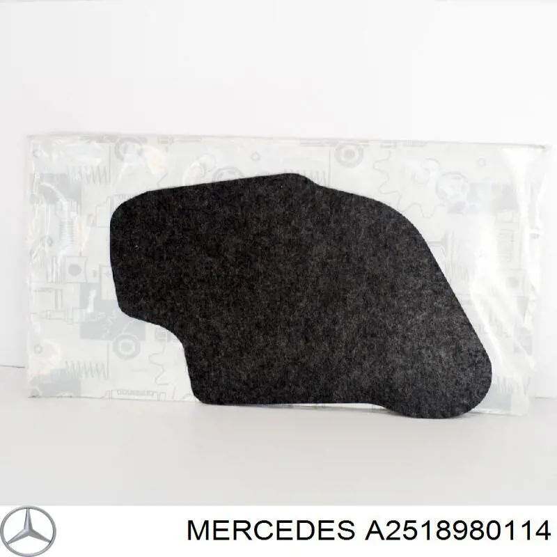  A2518980114 Mercedes