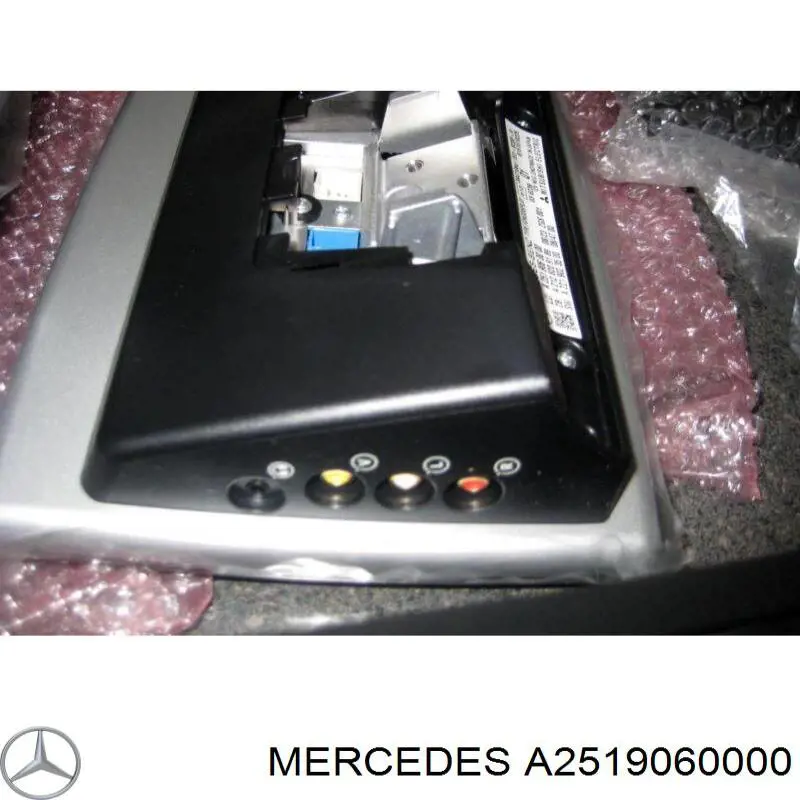 A2519060000 Mercedes