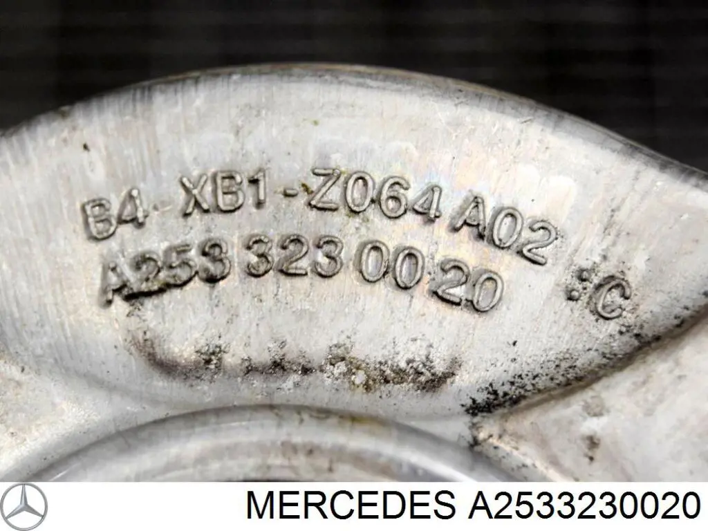 Soporte del amortiguador delantero A2533230020 Mercedes