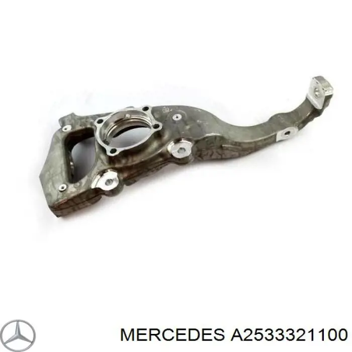 A2533321100 Mercedes