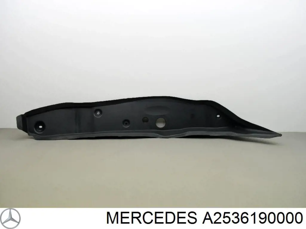 A2536190000 Mercedes