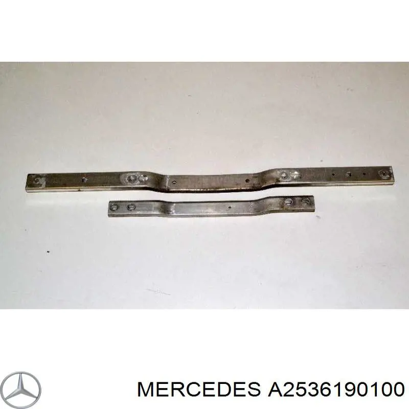 A2536190100 Mercedes