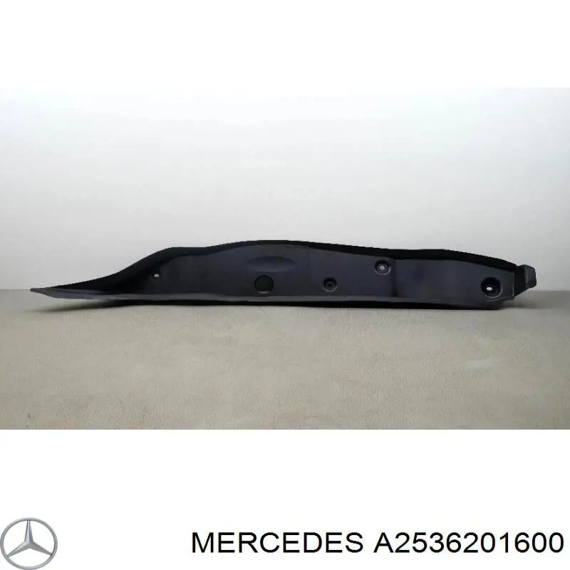 Soporte del absorbedor del parachoques delantero Mercedes A2536201600 precio, desde 40,50 EUR