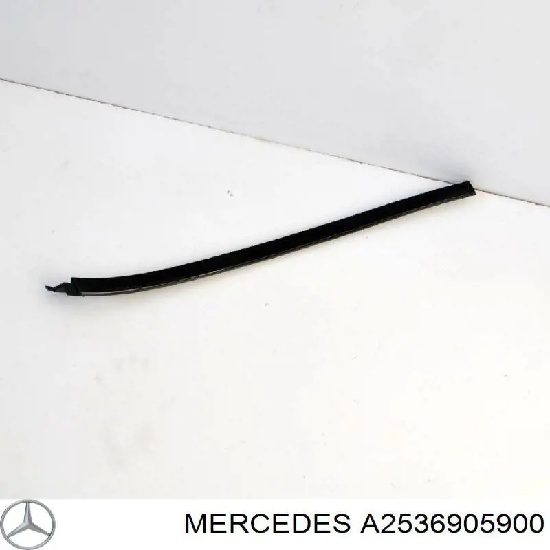 A2536905900 Mercedes