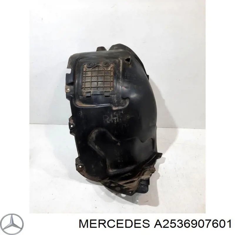 Comprar A2536907601 Mercedes Guardalodos interior delantero derecho