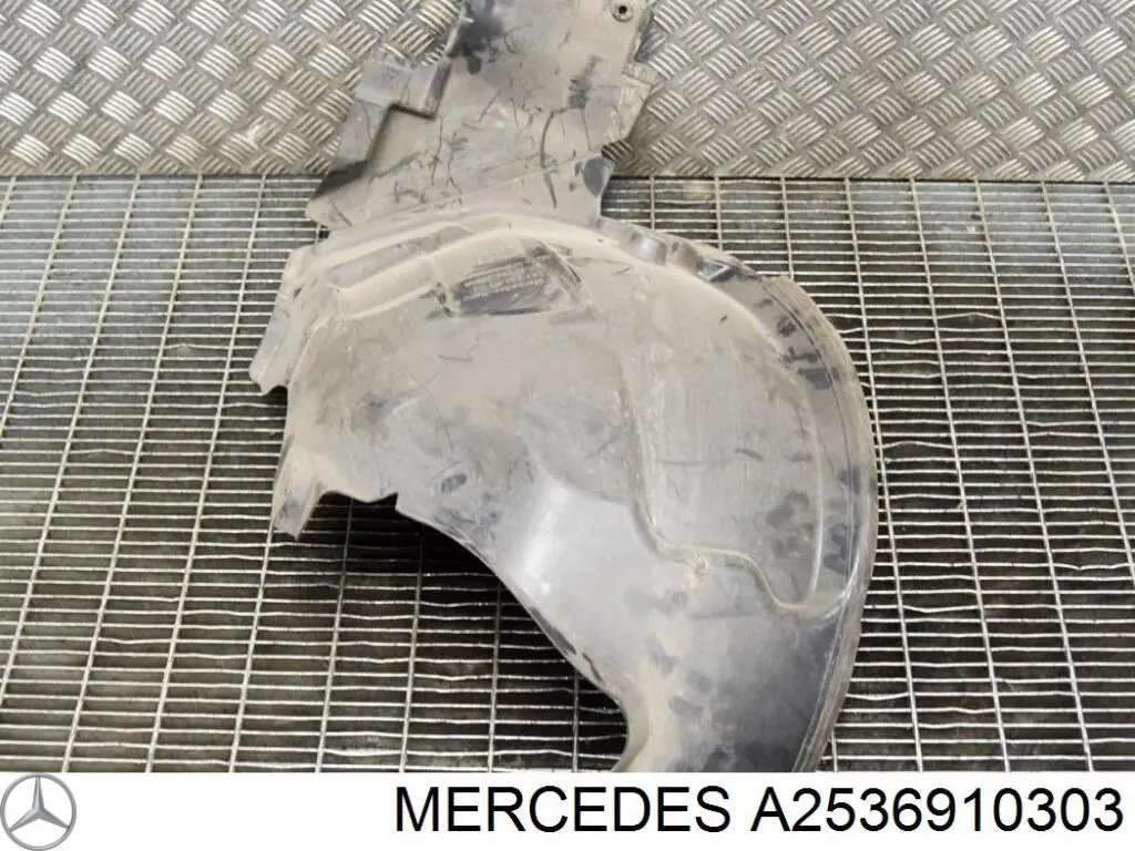 Comprar A2536910303 Mercedes Paso de rueda delantero izquierdo trasero