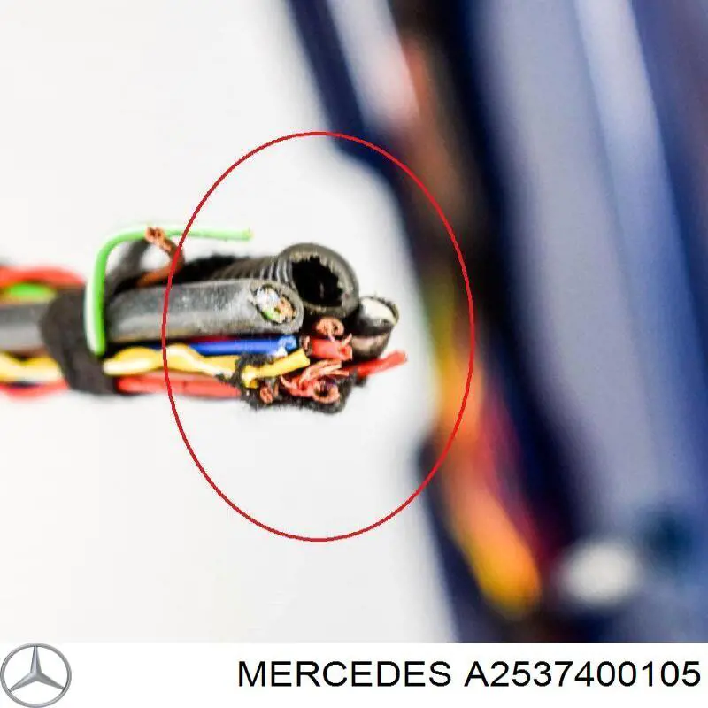 A2537400105 Mercedes Porton trasero