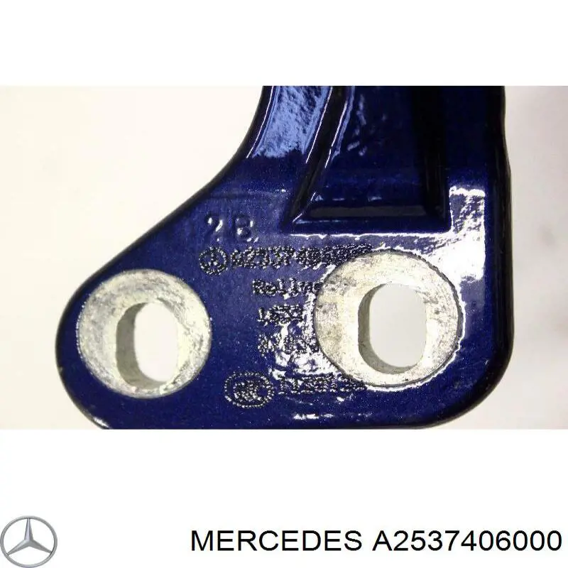 A2537406000 Mercedes Bisagra de puerta trasera