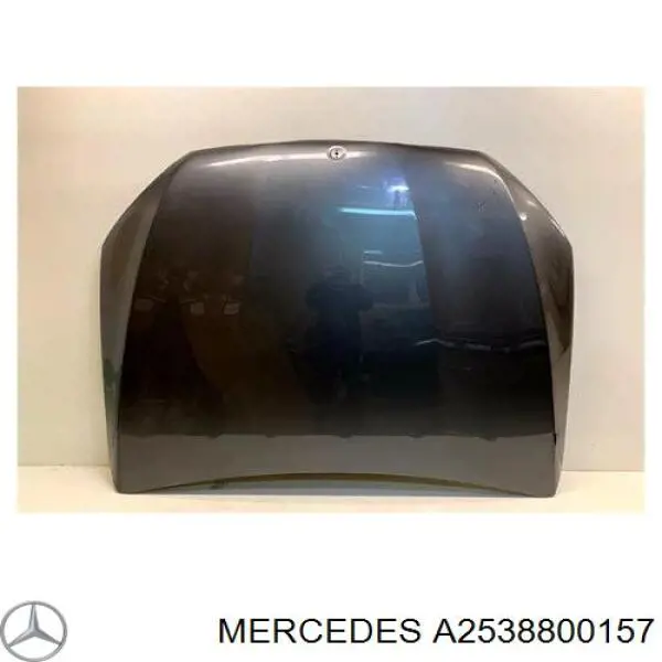 Capó del motor Mercedes A2538800157 precio, desde 522,98 EUR