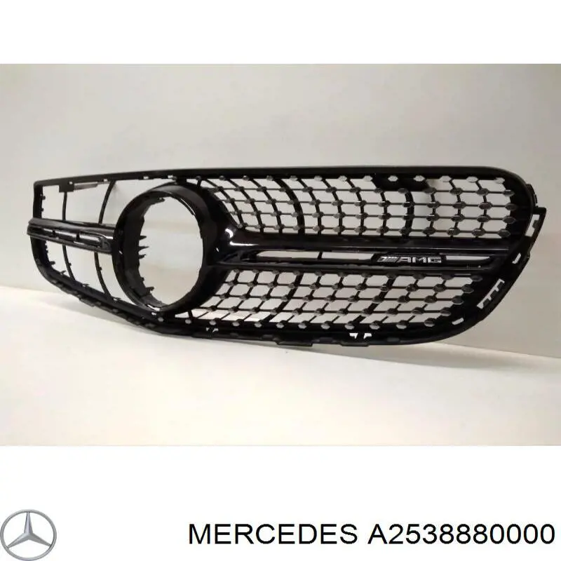A2538880000 Mercedes Calandra