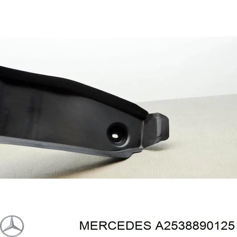 A2538890125 Mercedes