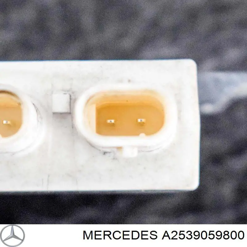 A2539059800 Mercedes