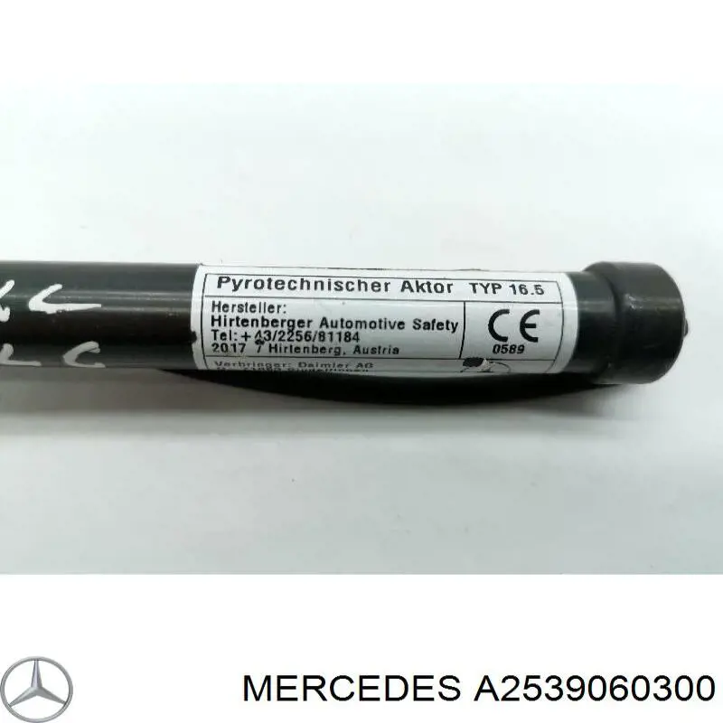 Rejilla central del parachoques delantero A2539060300 Mercedes